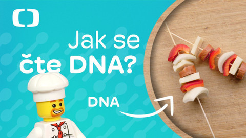 Vědecká kuchyně - Jak se čte DNA?