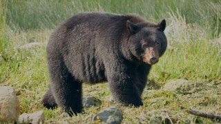 Andy a cesta kolem světa