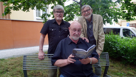 Třistatřicettři - Džungle a zoologická zahrada