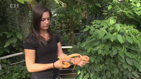 Hobby naší doby - 8. února 2020