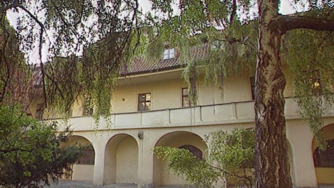 Lapidárium - Příběh břízy