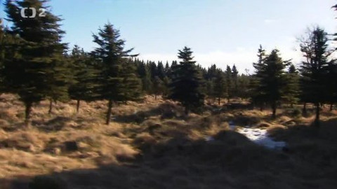 Nedej se! - Pichlavá záležitost