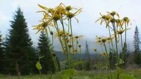 Přidej se - Šumava I.