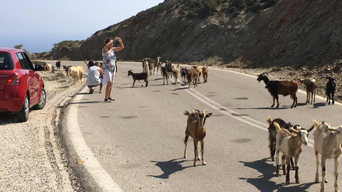 Postřehy odjinud - Řecké ostrovy očima Marthy Elefteriadu
