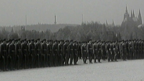 Archiv ČT24 - Čtyřkové květny