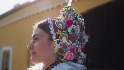 Herbář - 23. listopadu