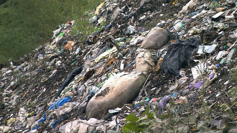 Nedej se! - Lumpárna Čáslav