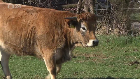 Regiony ČT24 - 23. dubna 2022