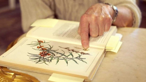 Kouzelné bylinky - Jarní únava není nemoc