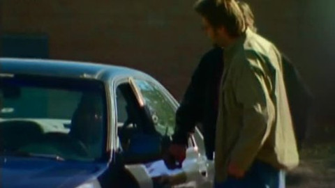 Interpol - 12/13 Podvedeni