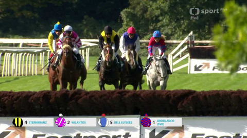 Dostihy - Westminster Cena Zimní královny