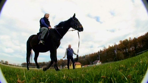 Vyzkoušejte si... - Jízda na koni