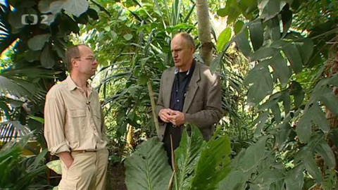 Za Shakespearem s Martinem Hilským - 9/9 O Prosperovi