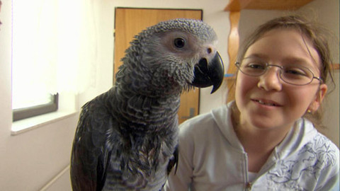 Zoománie - Epizoda 10/17