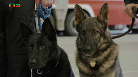 Jak to lítá na letišti - Velká zkouška