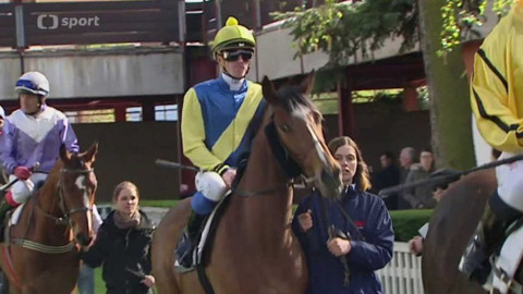 Turf - 27. dubna 2016