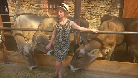 Farmářská jízda - 9/16 Krávy z Bláta