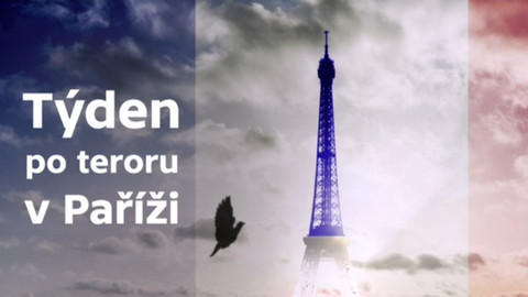 Mimořádné pořady ČT24 - Týden po teroru v Paříži