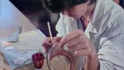 Archiv ČT24 - Křehká krása