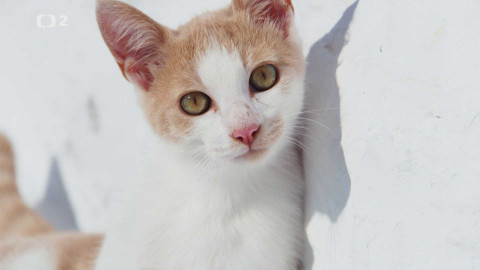 Středomoří – soužití člověka a přírody - 3/5 Nelehký úděl dospívání