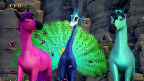 Zafari - 1/13 Skládání kamenů / Barvošťastný Zumba