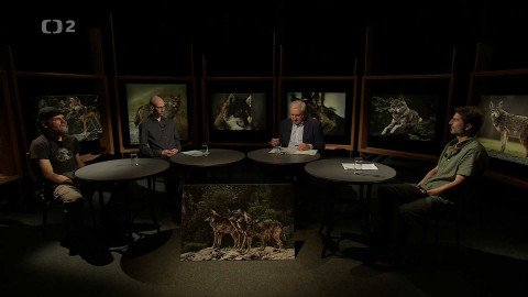 Historie.cs - Život vlků v Čechách