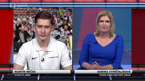 Hokej den poté - Finálová série