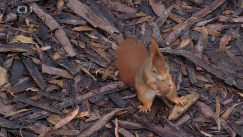 Máme rádi zvířata - 29. května 2023