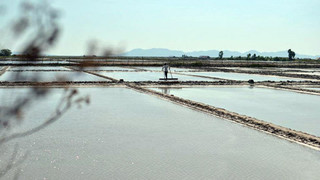Na cestě po západní Kambodži