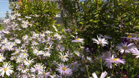 Polopatě - 15. října 2023