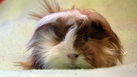 Máte mě! - 18. března 2012