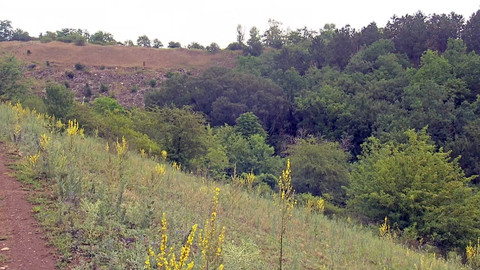 Nedej se! - Kdo to zaplatí