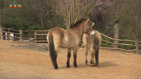 Zprávičky - 24. března 2024