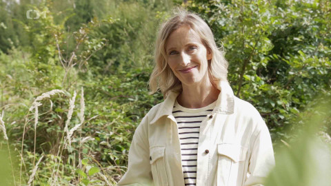 V novém světle - Církevní lesy