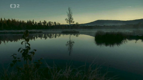 Minuty z přírody - Chalupská slať