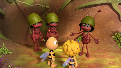 Včelka Mája - Lařin tajný ctitel