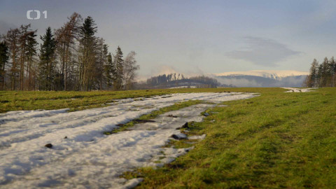 Kořeny lesa - Epizoda 15/40