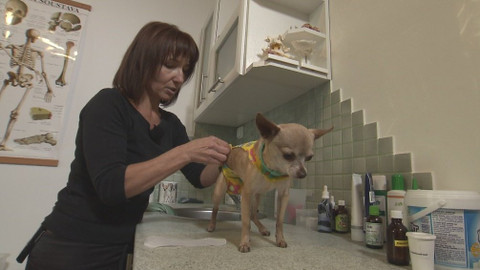 Chcete mě? - 29. října 2017