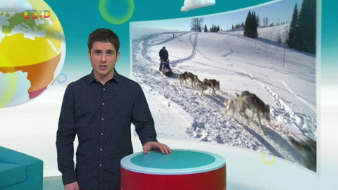 Zprávičky - 29. ledna 2017