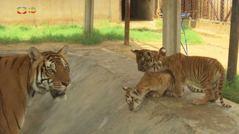 Zprávičky - 29. července 2022