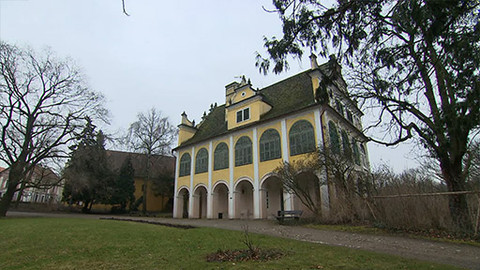 Rub a líc - Modrá krev