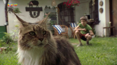 Terčin zvířecí svět - 4. října 2024