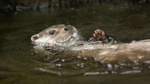 Chcete mě? - 18. září 2016