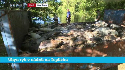 Události v regionech (sever a východ) - 30. června