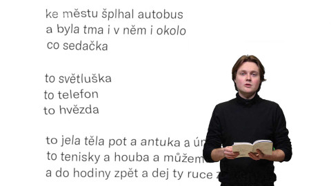 Jedna báseň - Tim Postovit