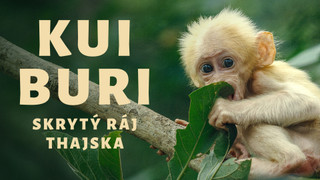 Kui Buri - skrytý ráj Thajska