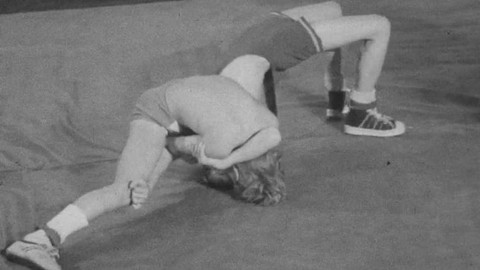 Archiv D - Rodina na žíněnce