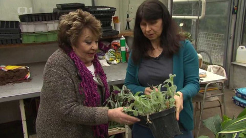 Hobby naší doby - 1. května 2021