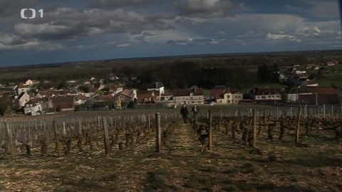Postřehy odjinud - Burgundsko očima Jana Šmída