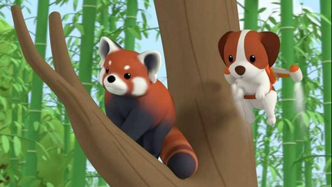 Leo, strážce přírody - Panda červená